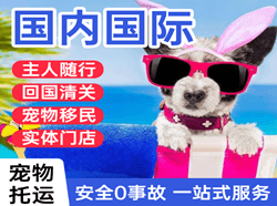 尧都机场托运国际宠物托运 【国